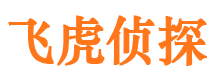 岳塘市婚姻调查